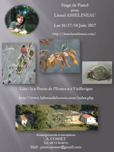 Affiche stage 2017 Lionel Asselineau