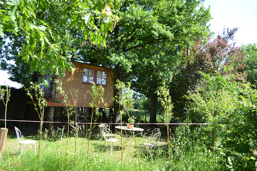 Marica, cabane perchée, nichée entre 4 arbres